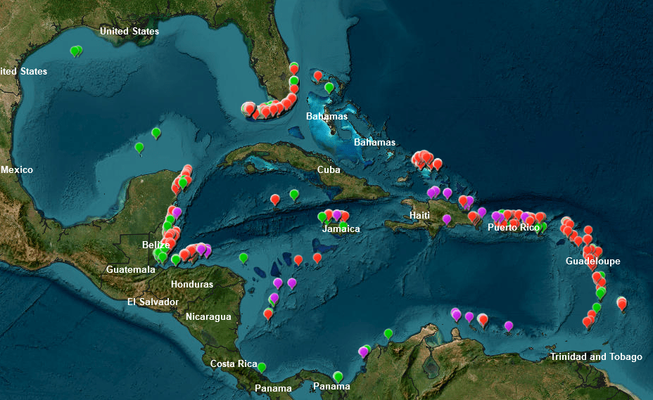 Kramer, P.R., Roth, L., and Lang, J. 2019. Map of Stony Coral Tissue Loss Disease Outbreak in the Caribbean. www.agrra.org.